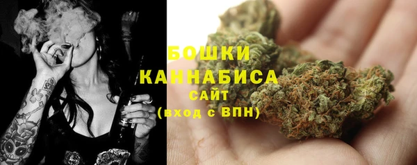 молекула духа Горно-Алтайск