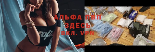 молекула духа Горно-Алтайск
