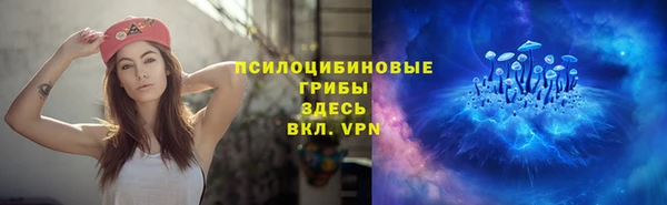 молекула духа Горно-Алтайск