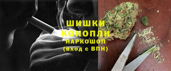 молекула духа Горно-Алтайск