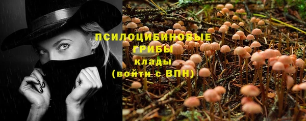 молекула духа Горно-Алтайск
