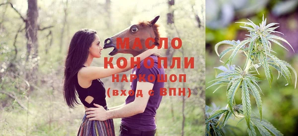 индика Вяземский
