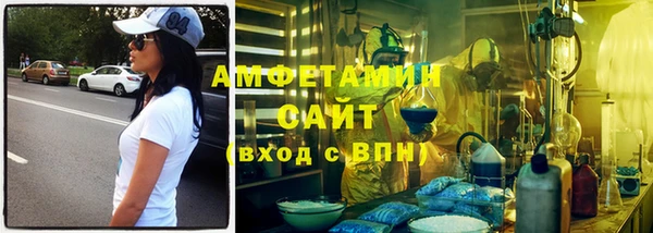 индика Вяземский