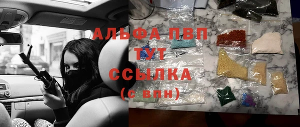 сатива Гусев