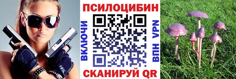 цены   мега tor  Псилоцибиновые грибы ЛСД  Звенигово 